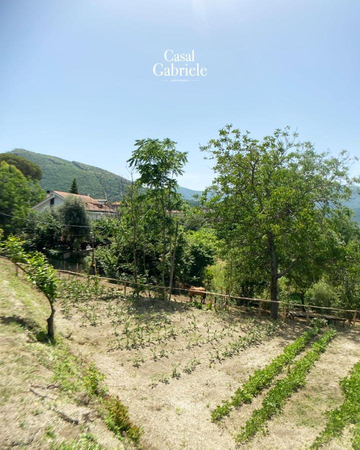 Casal Gabriele Villa Lettere Bagian luar foto