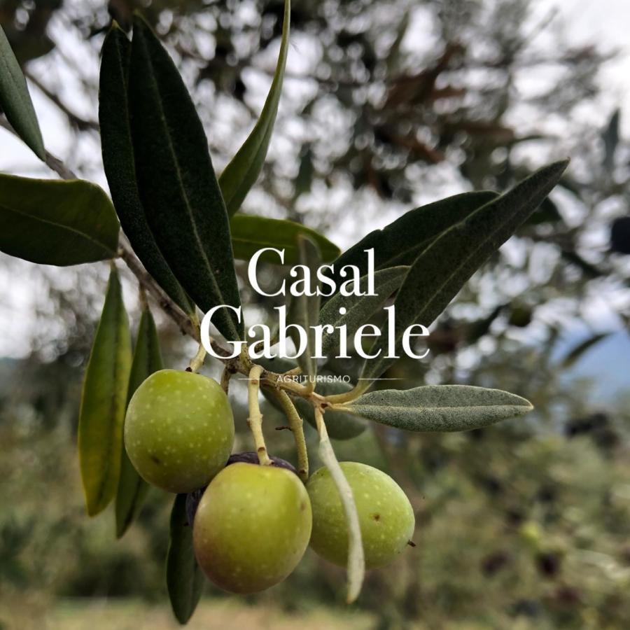 Casal Gabriele Villa Lettere Bagian luar foto
